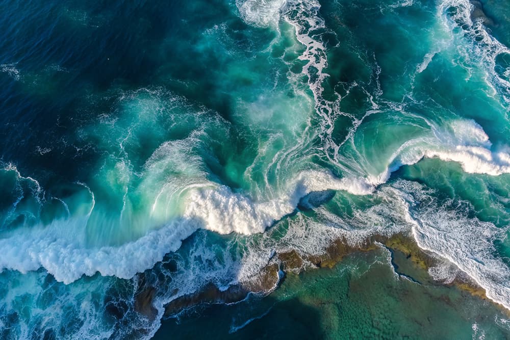 An A to Z of Ocean Health