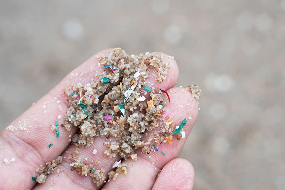 Microplastics and Their Impact